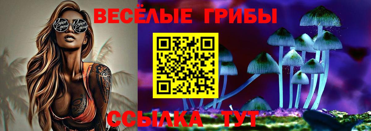 Галлюциногенные грибы GOLDEN TEACHER  Вход с VPN  Надым 